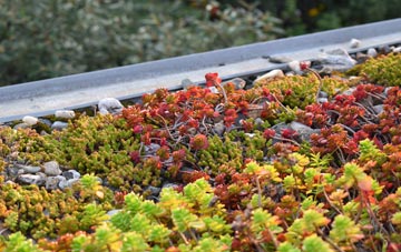 the cost of Wyke Regis green roof installation