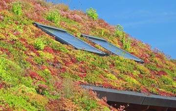 Wyke Regis living roof systems