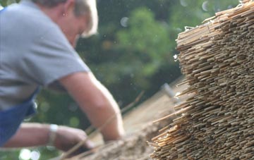 professional Wyke Regis thatchers